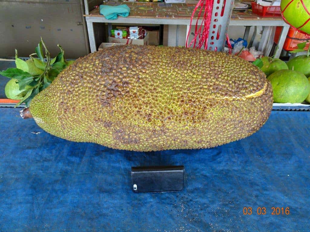 A Jackfruit