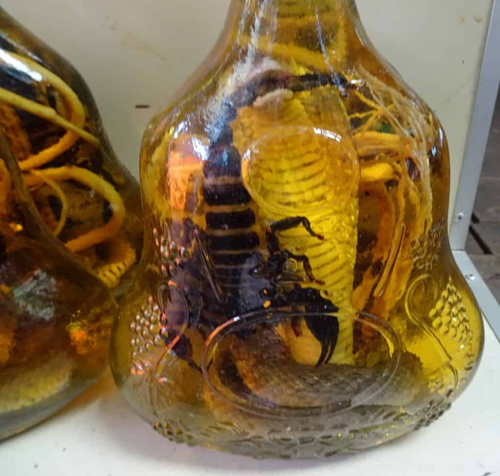 scorpion and snake in a bottle of liquid