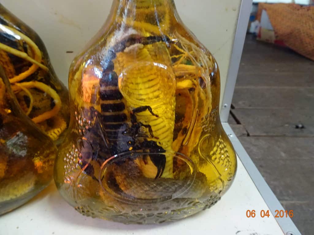 Snake and Scorpion in a bottle of liquid