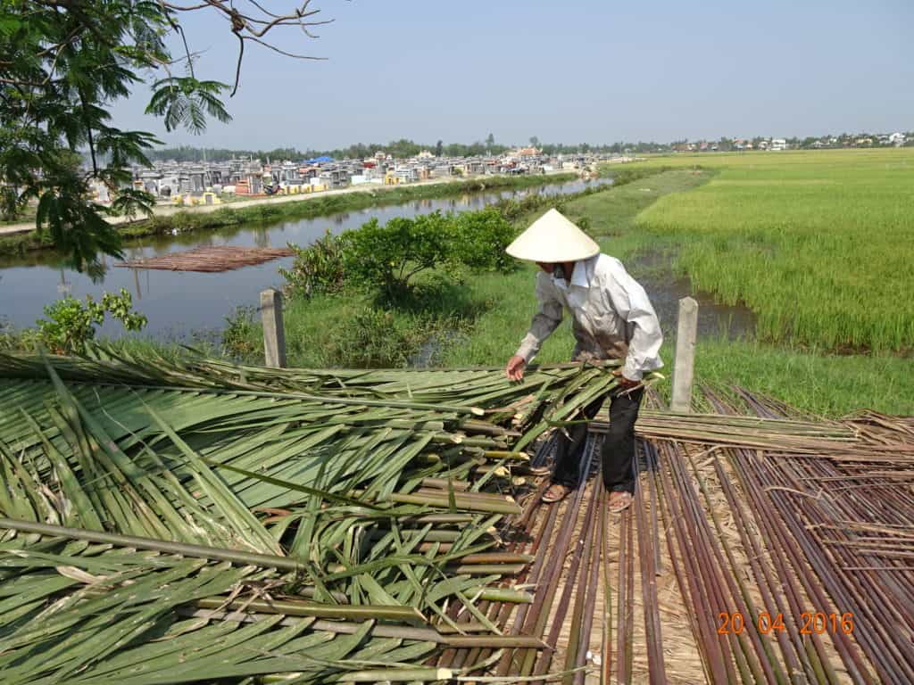 Man sorting palm leaves