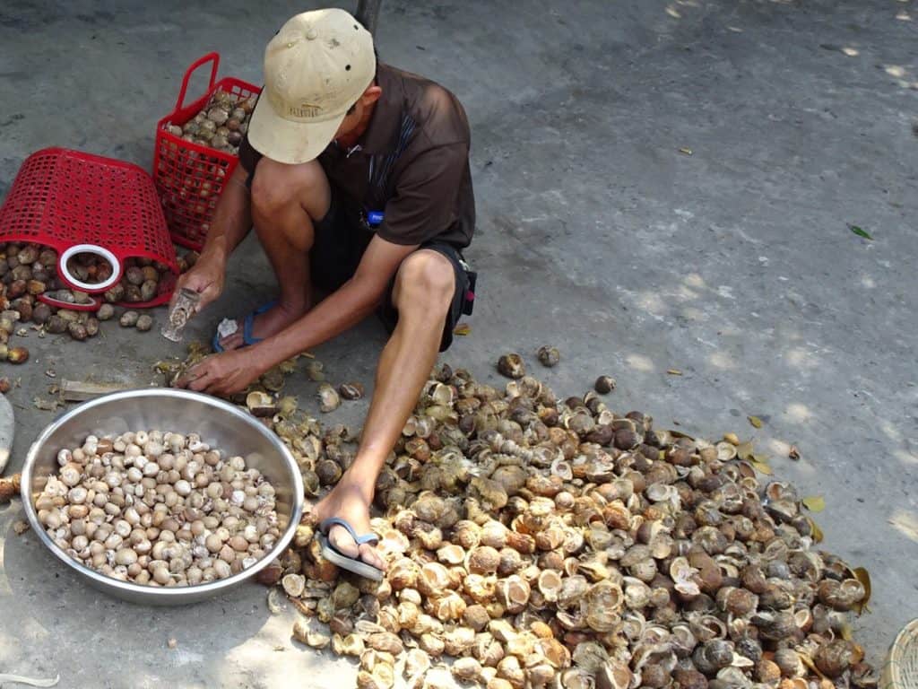 Man sitting shelling nuts