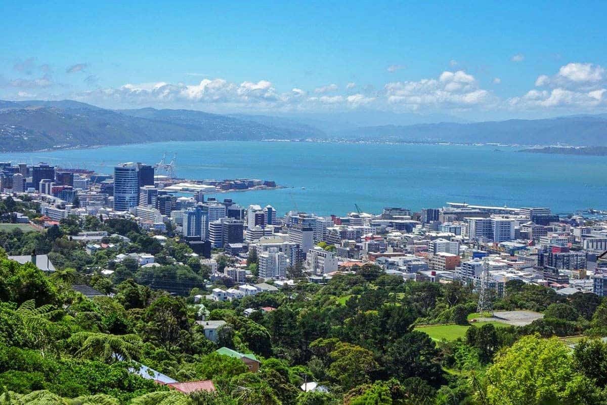 Wellington Harbour View