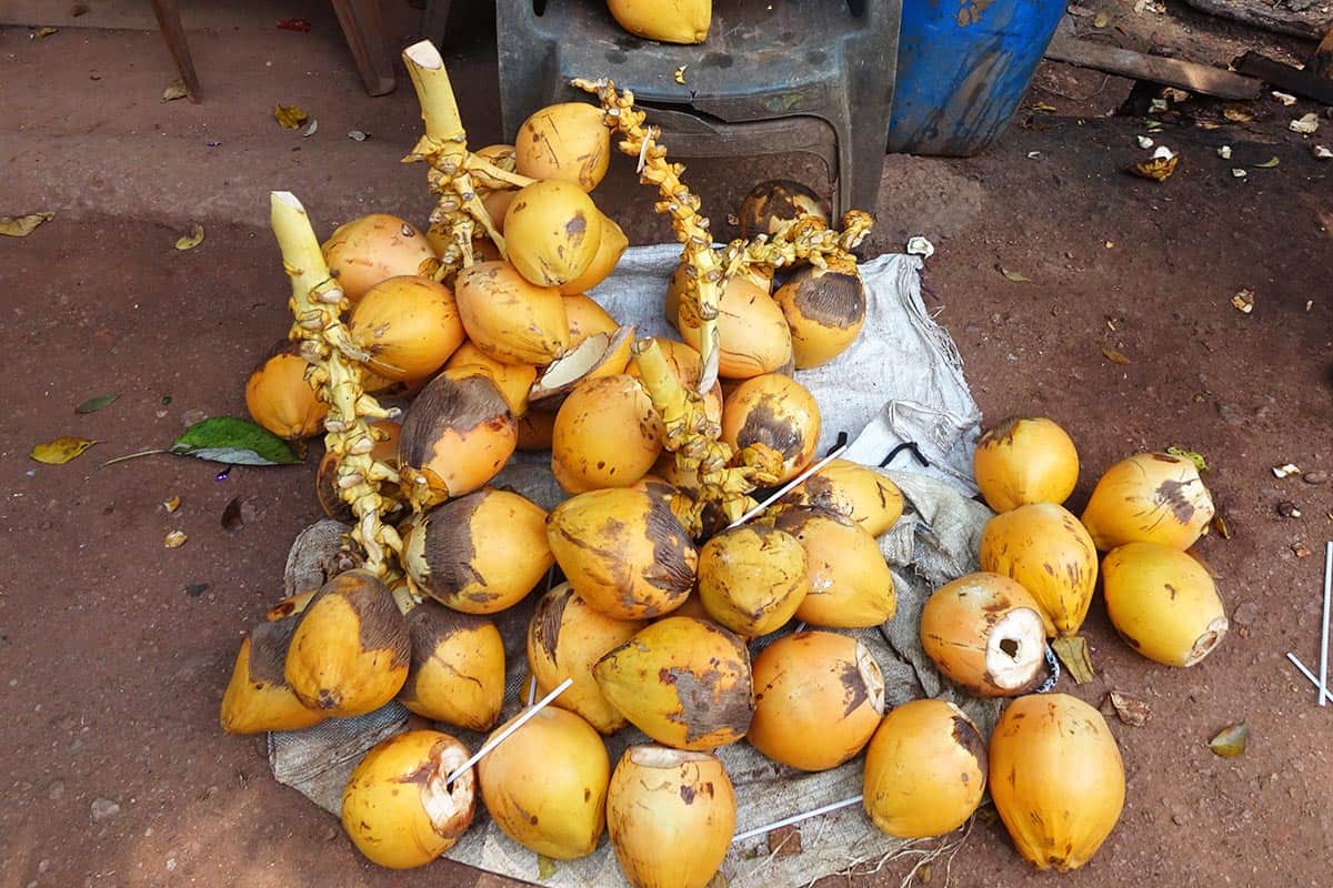 A bunch of gold colored coconuts at a roadside stall