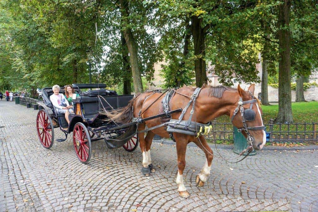Carriage Ride in Bruges Belgium