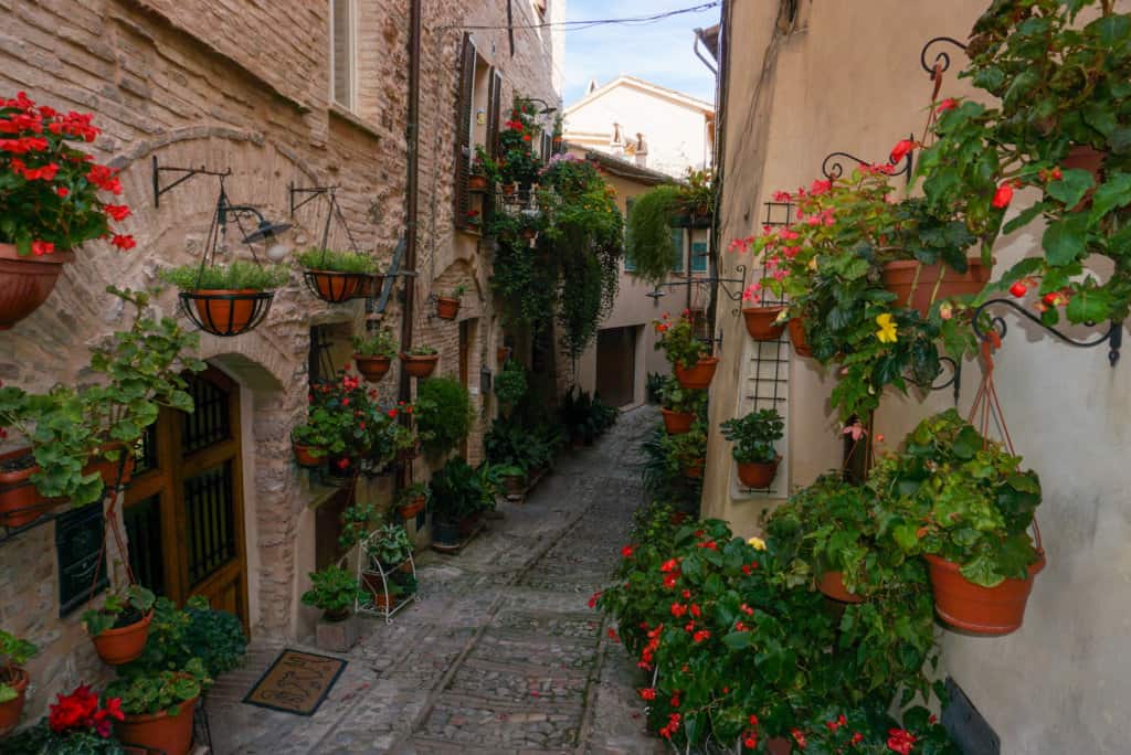 Street with red flower boxes
