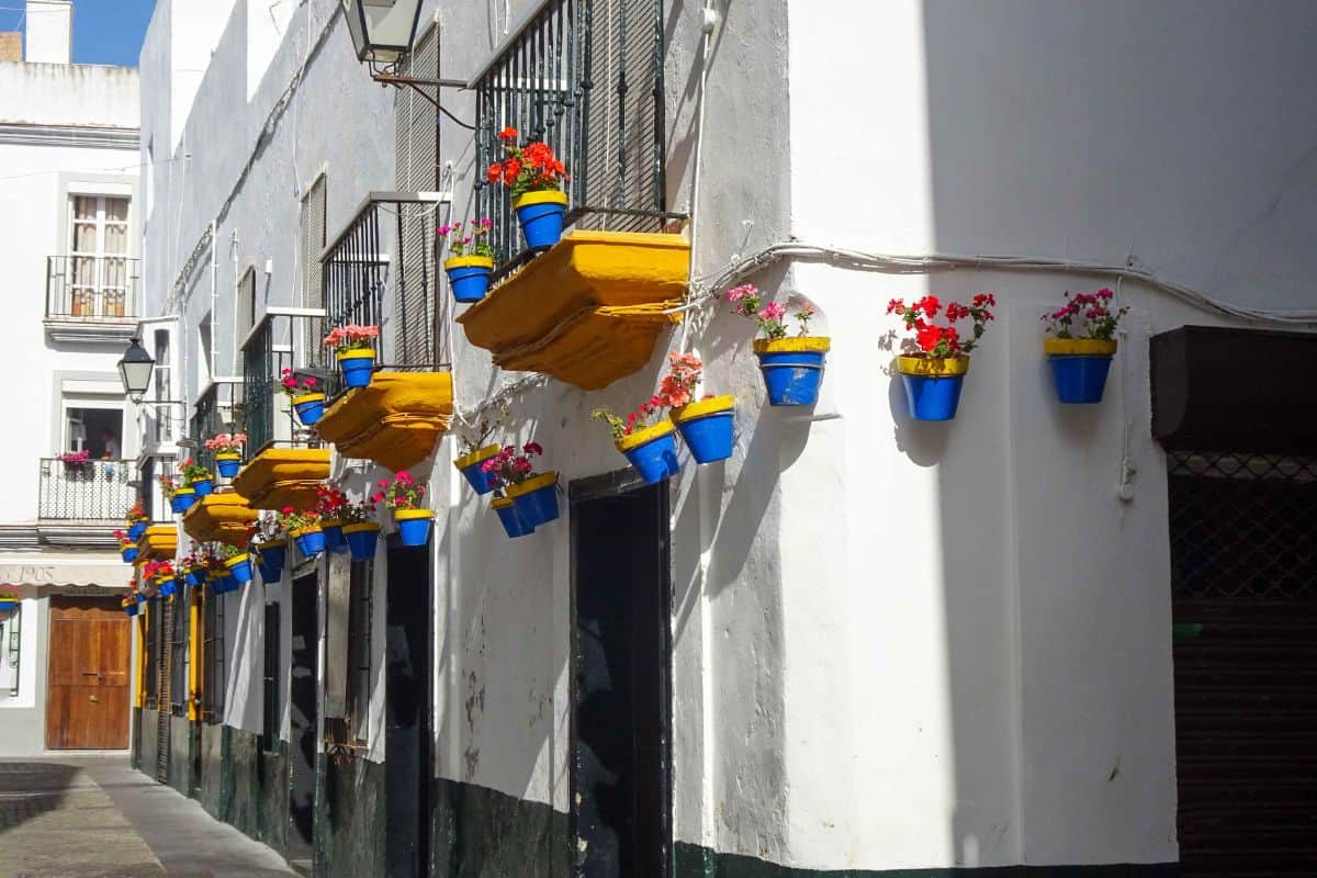 Flower pots on a street wall