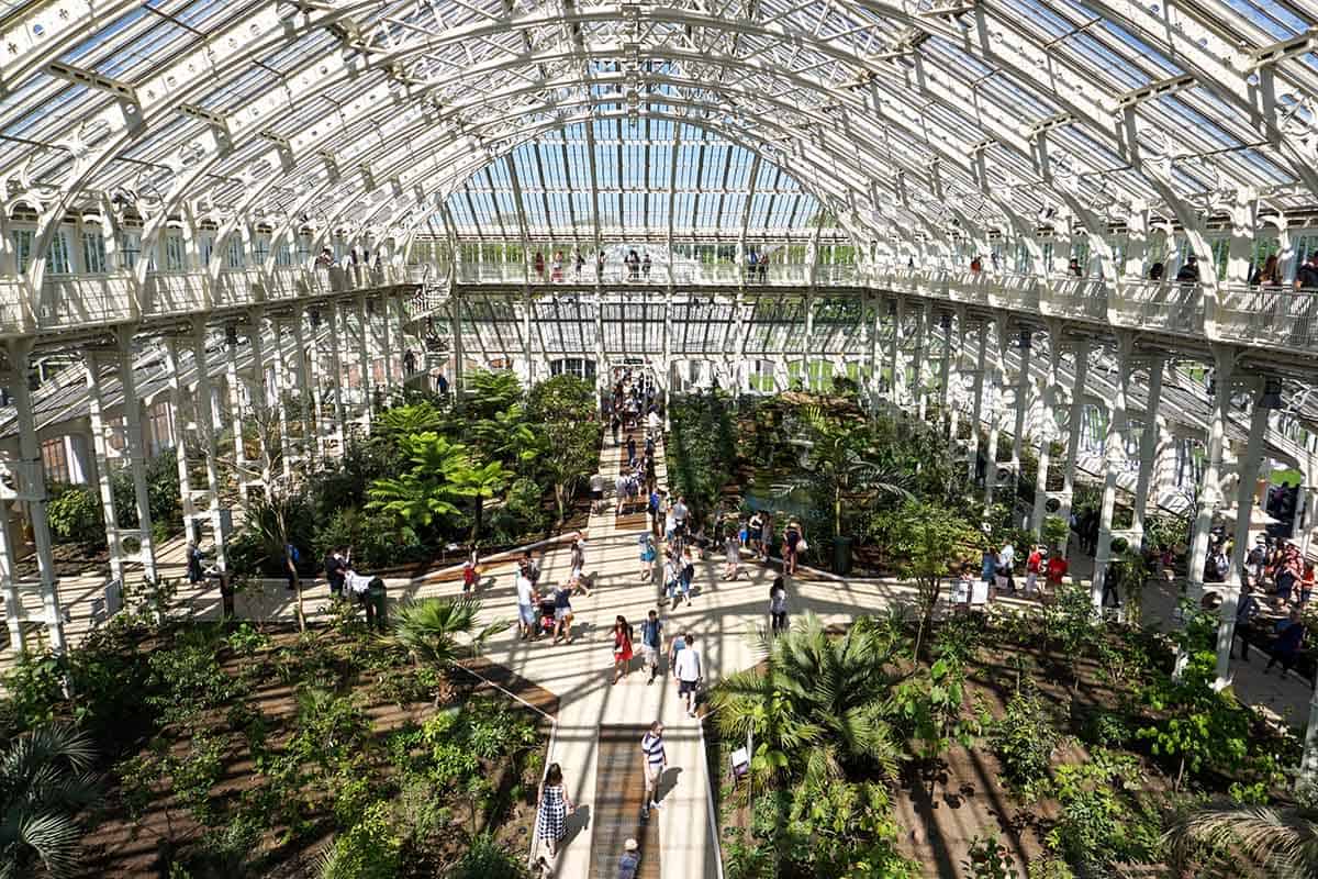 Inside the glass building with tropical plants