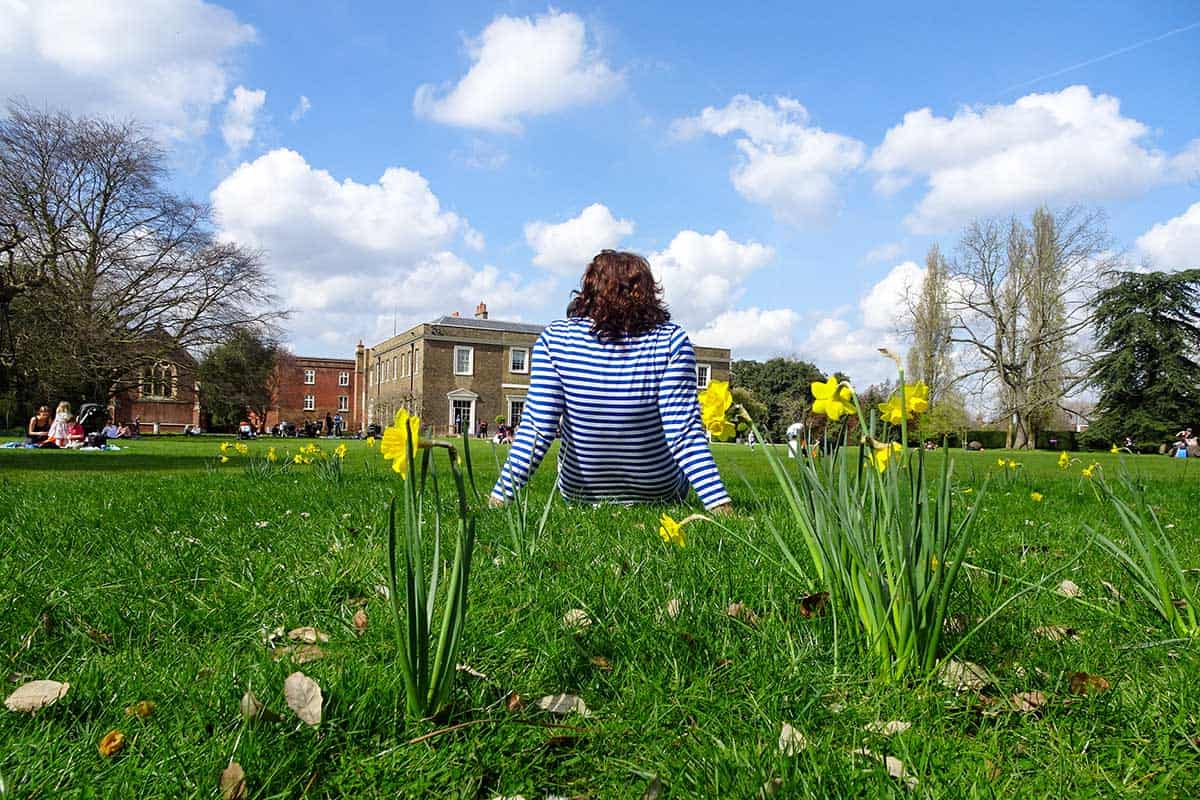 Woman sitting in a field of daffodils