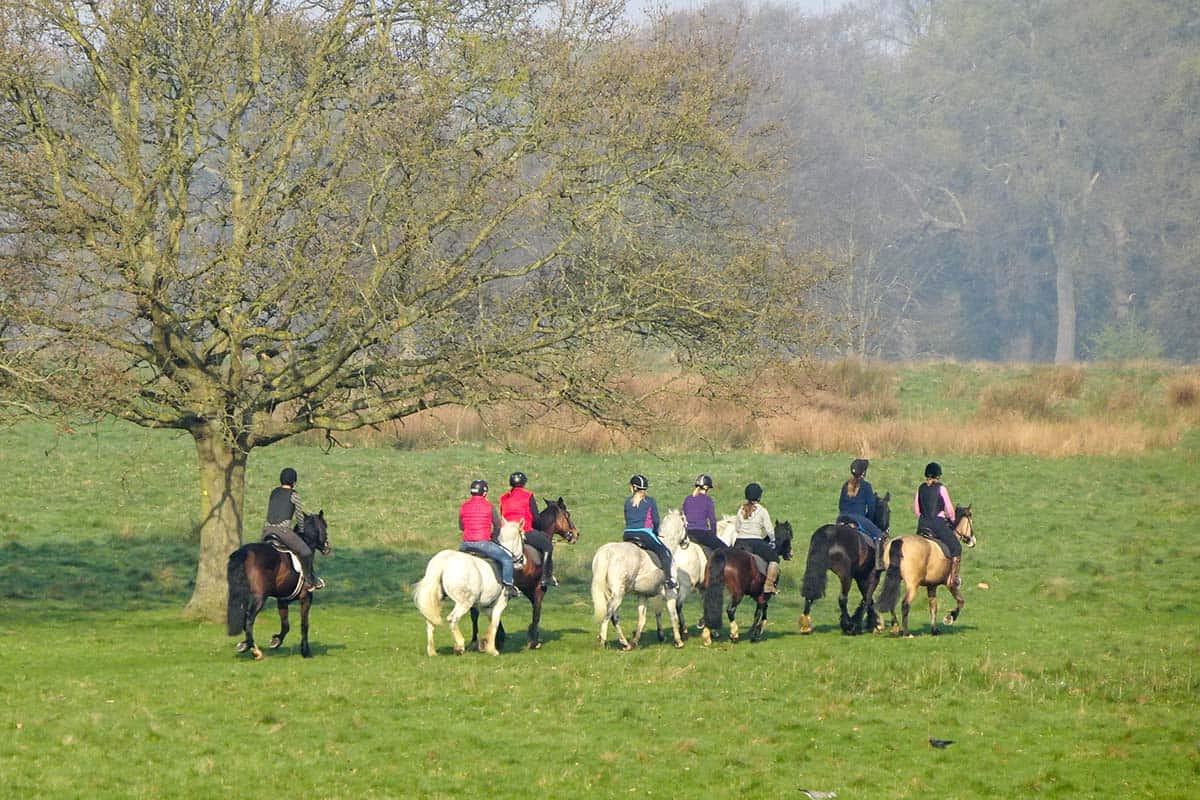 A group of people horse riding in a large green field
