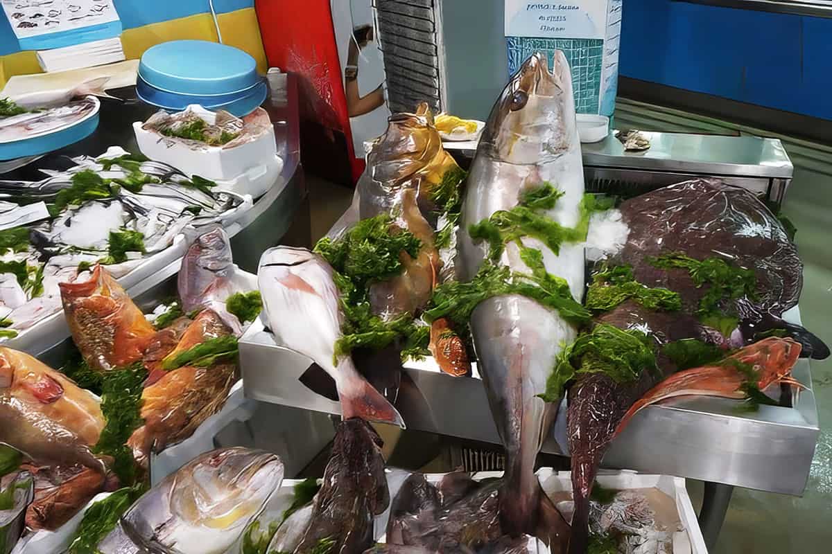 Fresh fish in a market