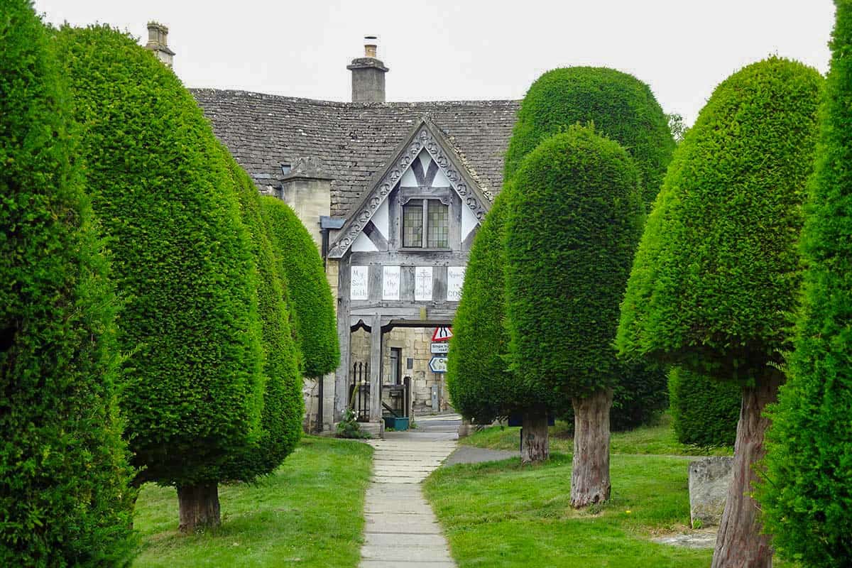 A building at the end of a row of trees