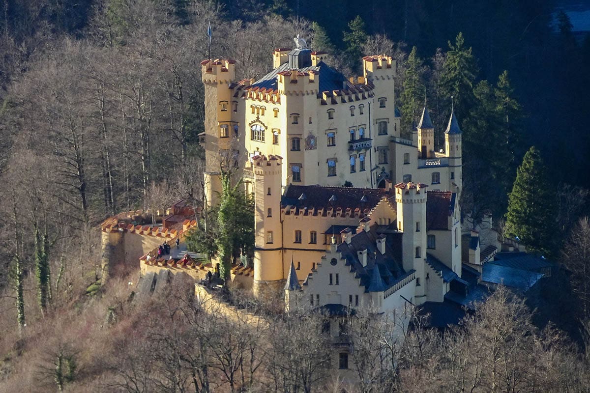 A castle on a hill surrounded by trees