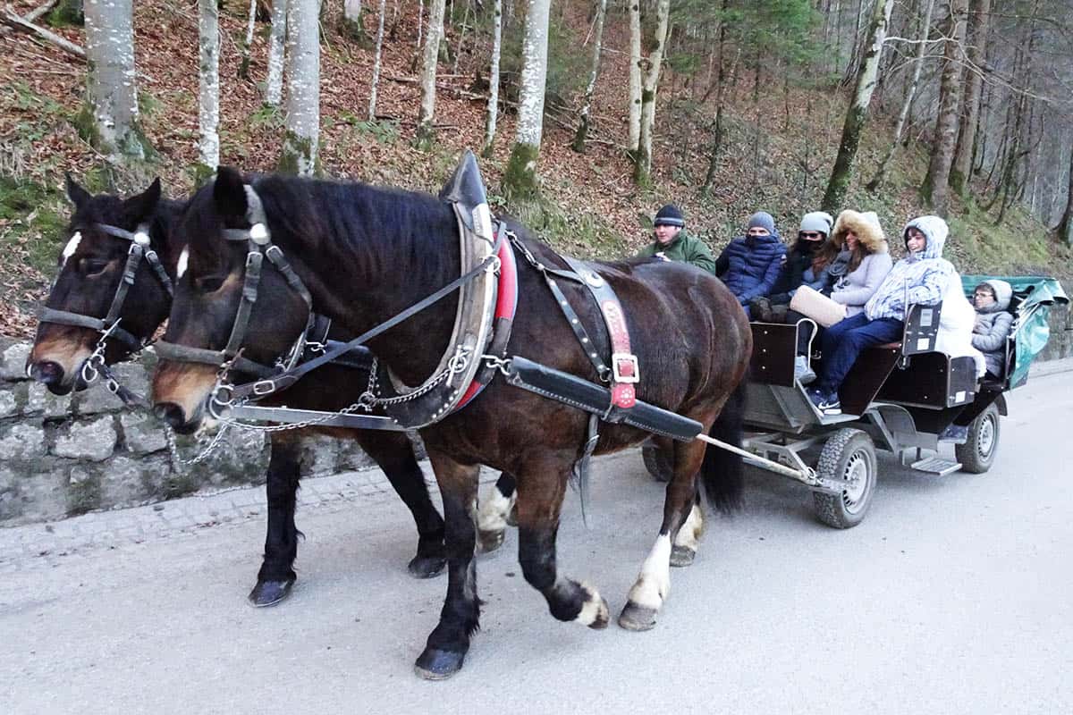Two horses pulling a cart carrying people