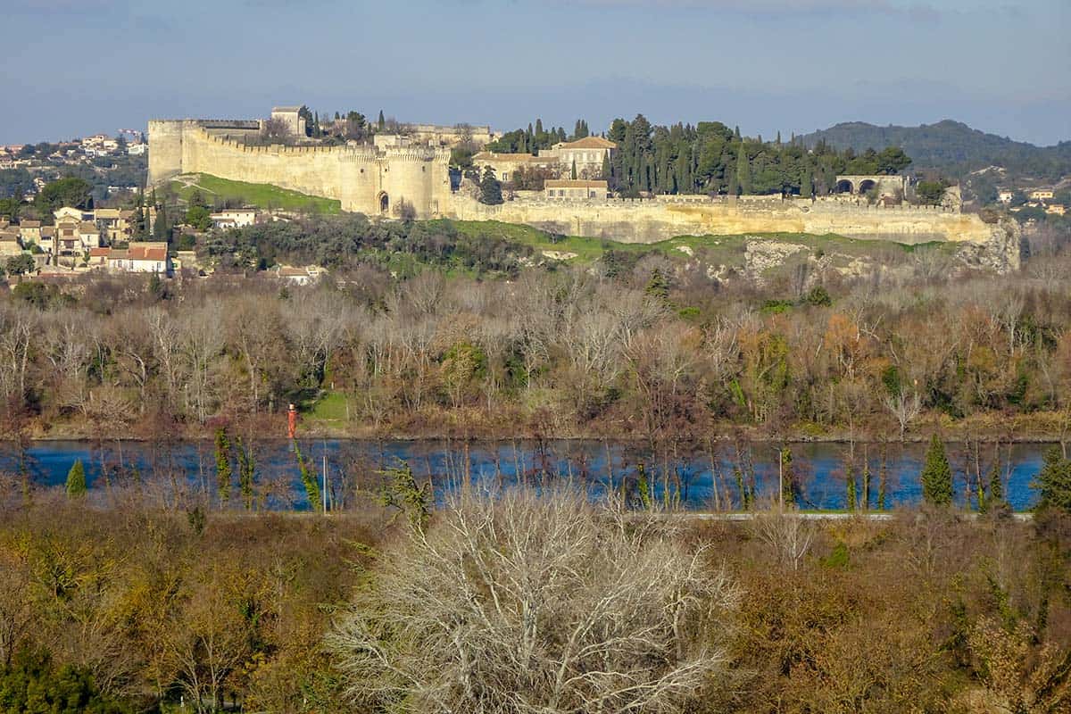 A landscape view with a tree and bush in the foreground, a river in the midground and a fort on a hill in the background