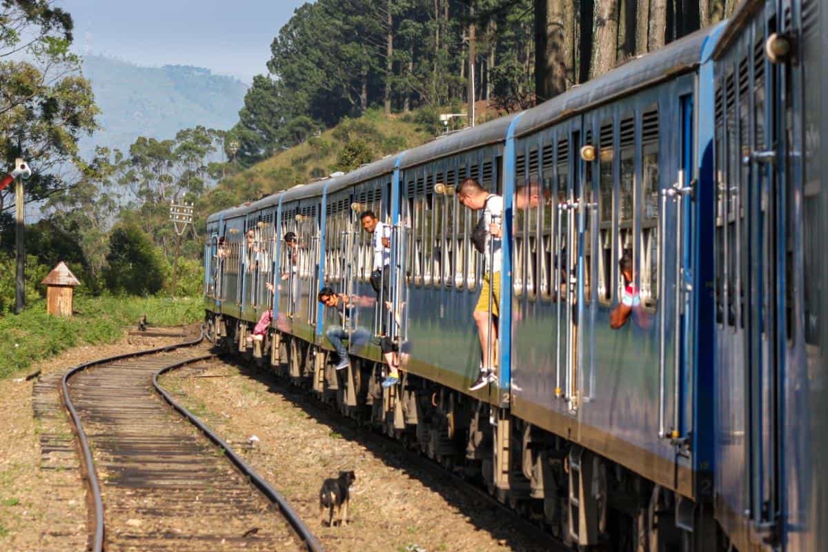 A little dog next to a train filled with passengers